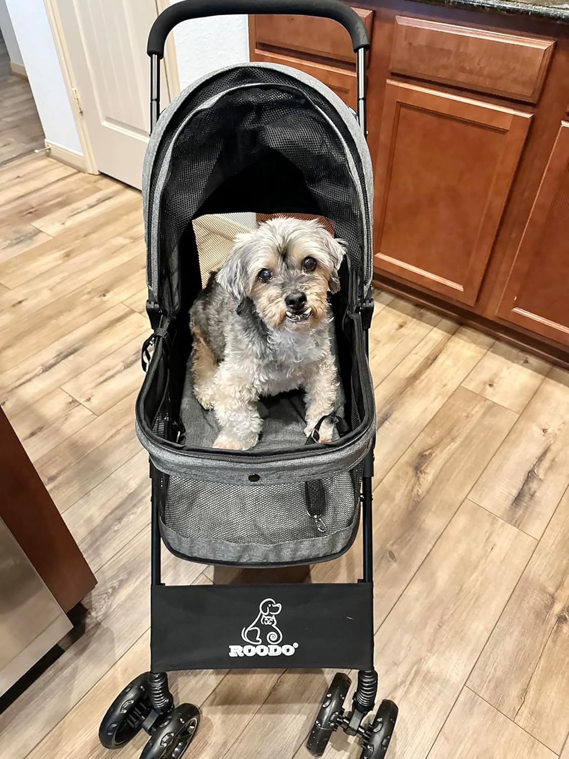 4 Wheel Dog Cat Pet Stroller,  – Foldable Backpack Small Bewertung und Preis